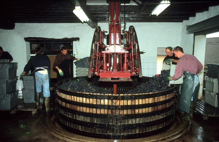 Pressoir traditionnel en Champagne Photo John Hodder ©Comité Champagne